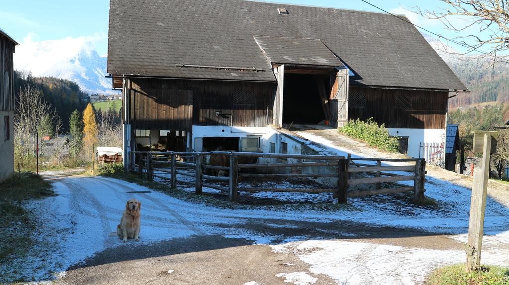 Haus Galler - Urlaub Am Bauernhof * Bad Aussee