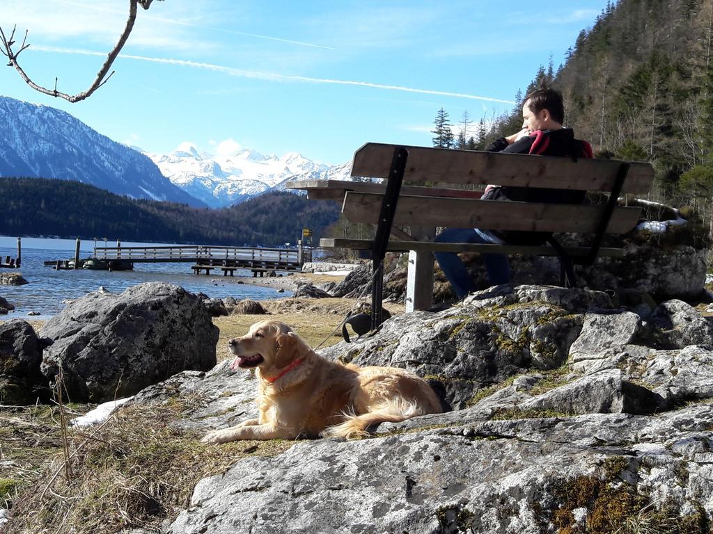 Haus Galler - Urlaub Am Bauernhof