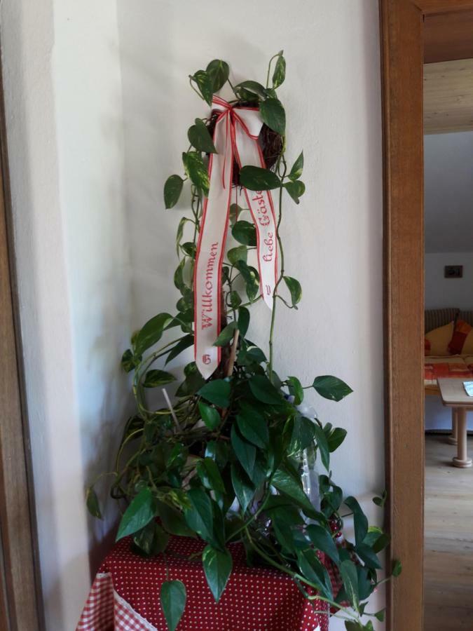 Haus Galler - Urlaub Am Bauernhof Farm stay